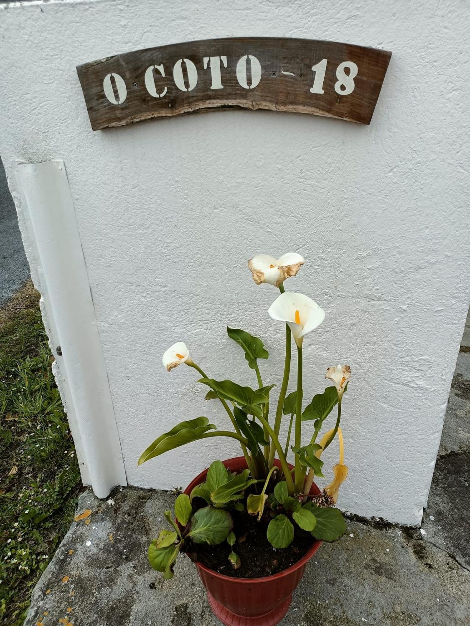 Casa Pancha Villa Ribadeo Exterior photo